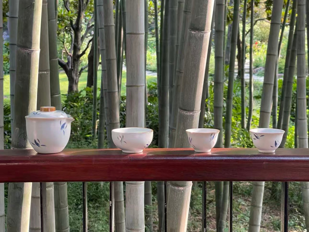 【蝴蝶兰】汝窑 Orchid Moonlight