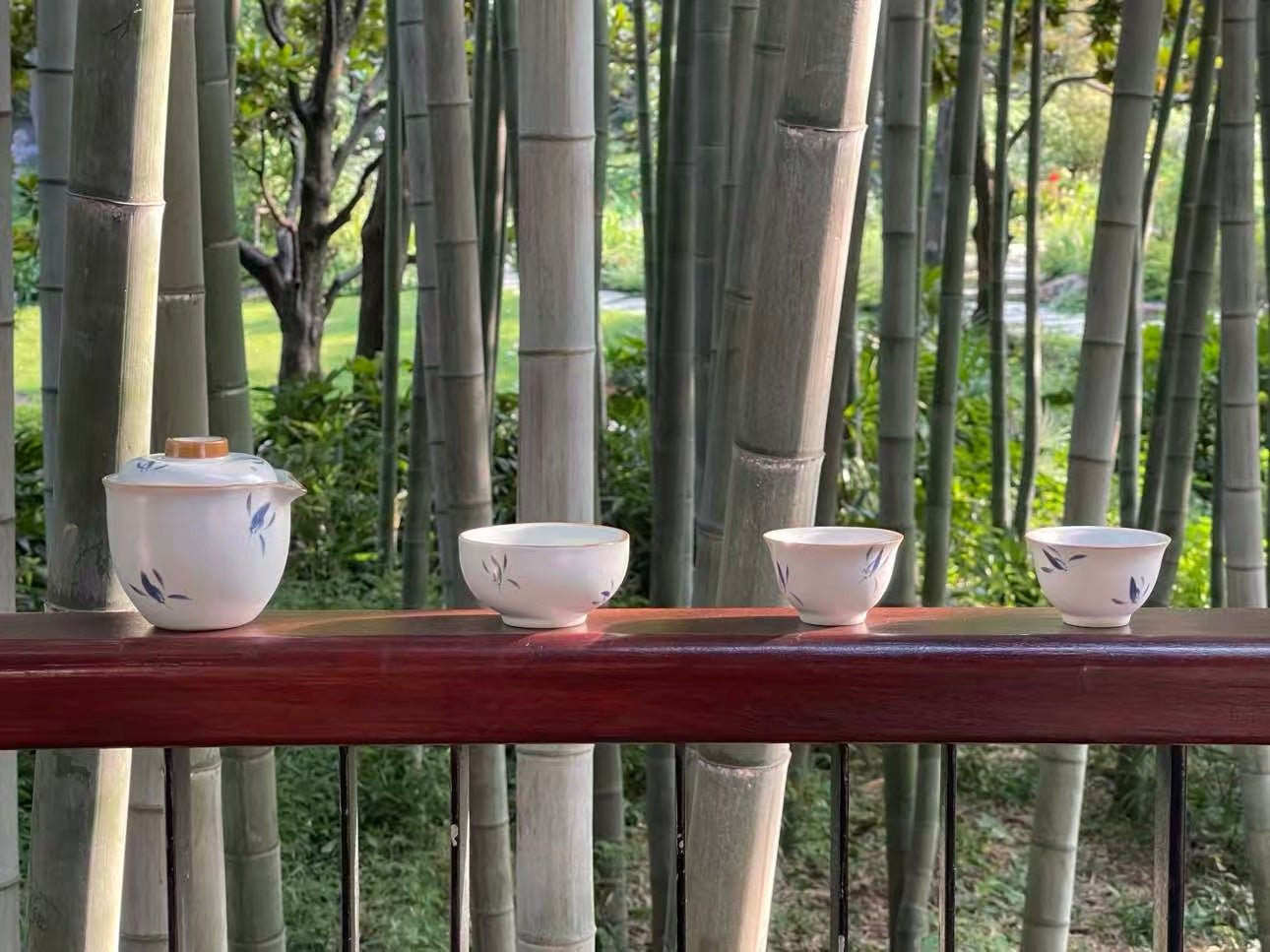 【蝴蝶兰】汝窑 Orchid Moonlight