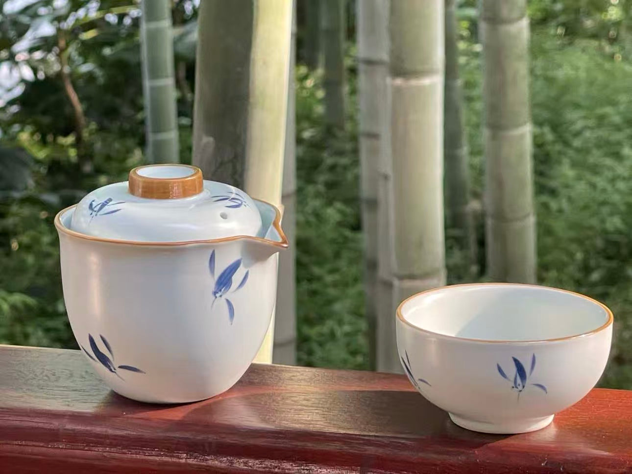 【蝴蝶兰】汝窑 Orchid Moonlight