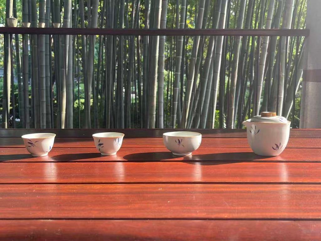 【蝴蝶兰】汝窑 Orchid Moonlight