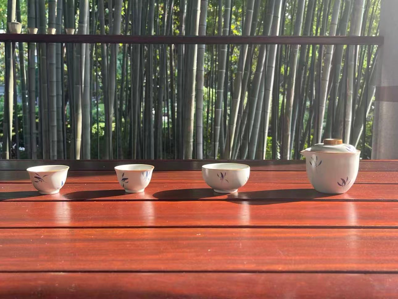 【蝴蝶兰】汝窑 Orchid Moonlight